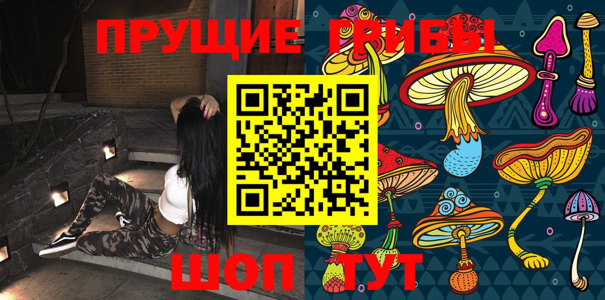 Псилоцибиновые грибы мицелий  Вход с VPN  Керчь 