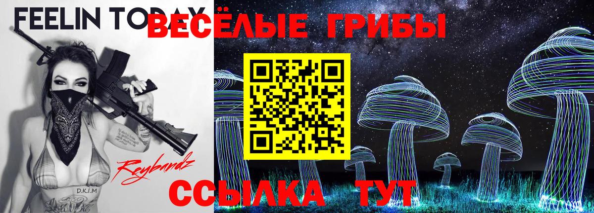 Псилоцибиновые грибы прущие грибы Керчь